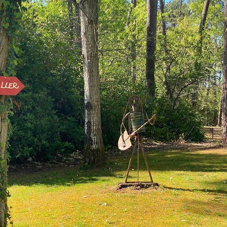 Le Petit Poulailler Au Beau Milieu Des Pins Villa Lacanau Esterno foto