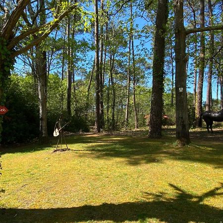 Le Petit Poulailler Au Beau Milieu Des Pins Villa Lacanau Esterno foto