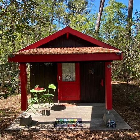 Le Petit Poulailler Au Beau Milieu Des Pins Villa Lacanau Esterno foto