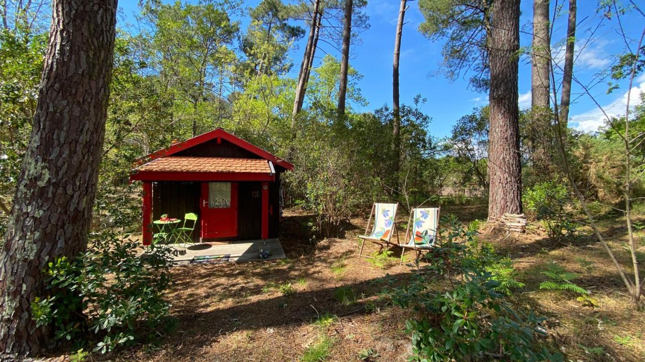 Le Petit Poulailler Au Beau Milieu Des Pins Villa Lacanau Esterno foto