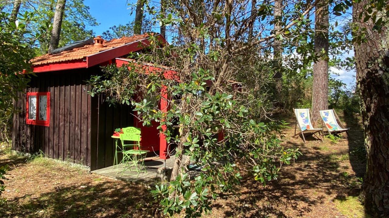 Le Petit Poulailler Au Beau Milieu Des Pins Villa Lacanau Esterno foto