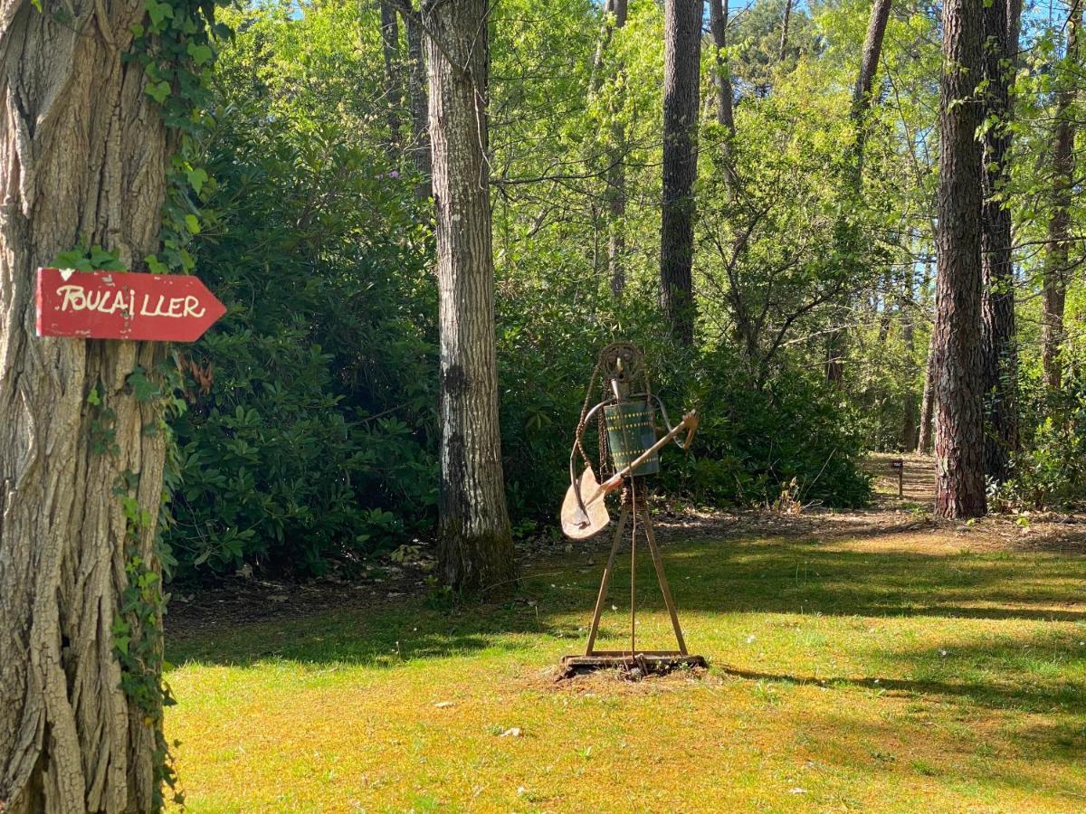 Le Petit Poulailler Au Beau Milieu Des Pins Villa Lacanau Esterno foto