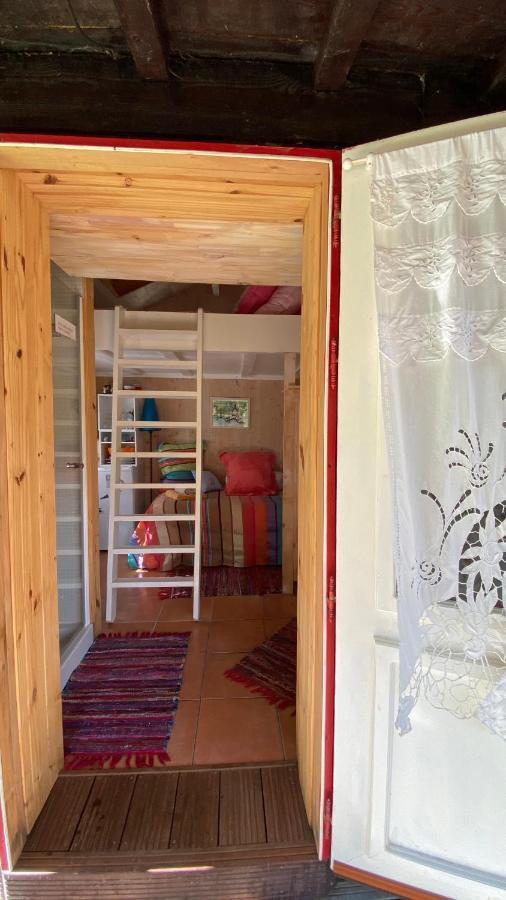 Le Petit Poulailler Au Beau Milieu Des Pins Villa Lacanau Esterno foto