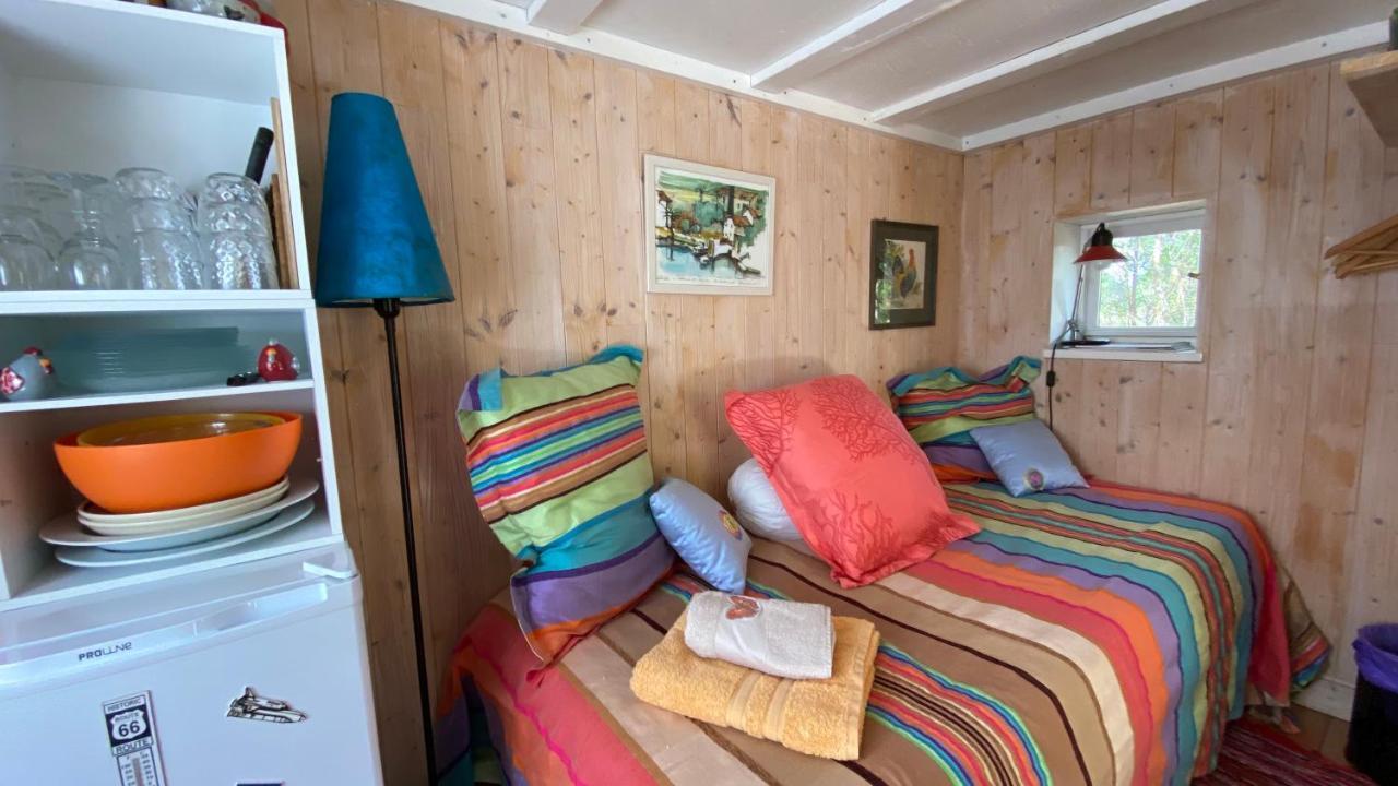 Le Petit Poulailler Au Beau Milieu Des Pins Villa Lacanau Esterno foto
