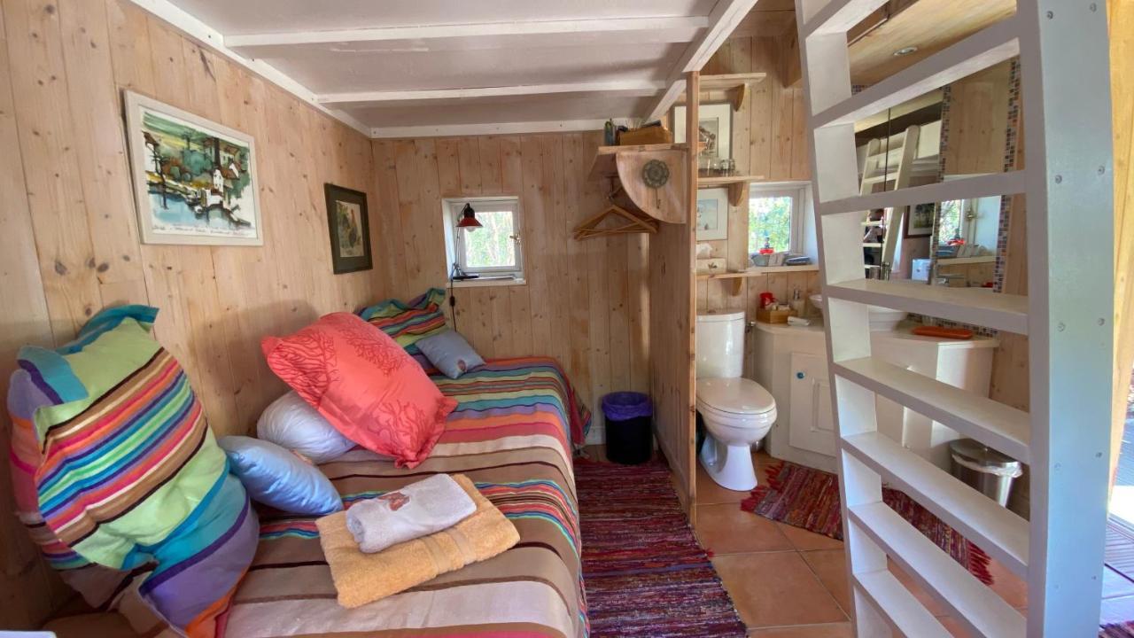 Le Petit Poulailler Au Beau Milieu Des Pins Villa Lacanau Esterno foto