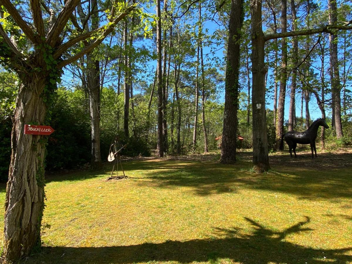 Le Petit Poulailler Au Beau Milieu Des Pins Villa Lacanau Esterno foto