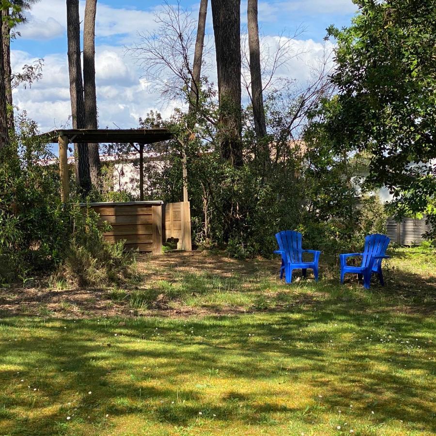 Le Petit Poulailler Au Beau Milieu Des Pins Villa Lacanau Esterno foto