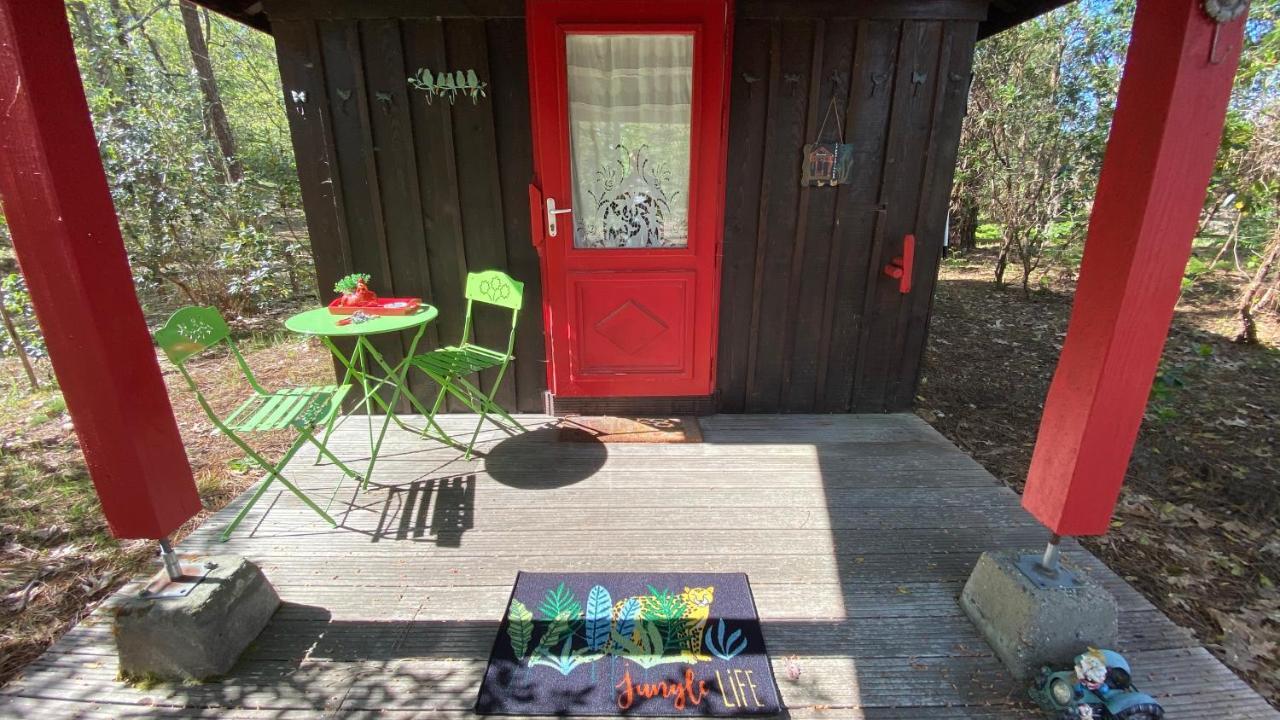 Le Petit Poulailler Au Beau Milieu Des Pins Villa Lacanau Esterno foto