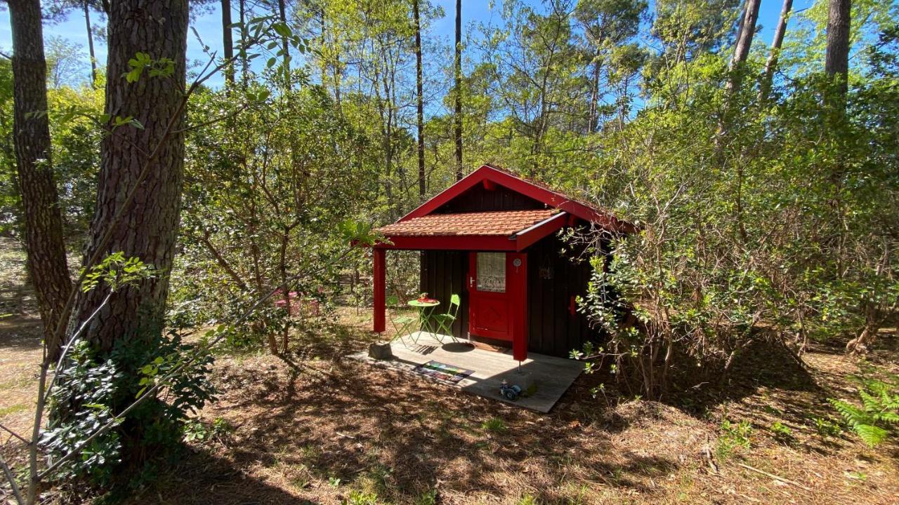 Le Petit Poulailler Au Beau Milieu Des Pins Villa Lacanau Esterno foto