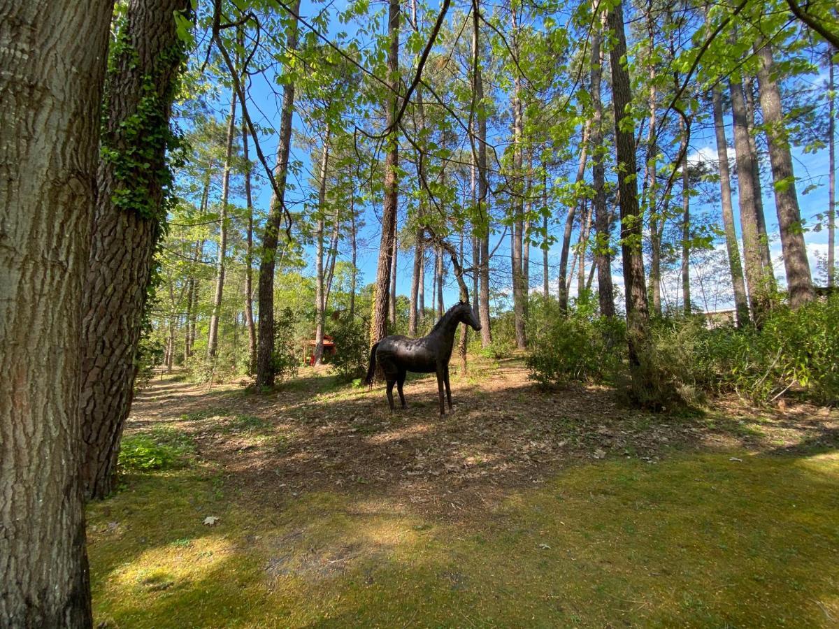 Le Petit Poulailler Au Beau Milieu Des Pins Villa Lacanau Esterno foto