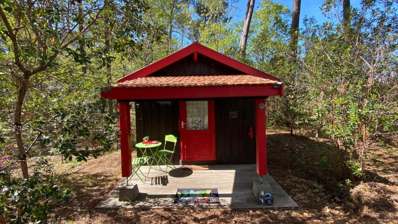 Le Petit Poulailler Au Beau Milieu Des Pins Villa Lacanau Esterno foto
