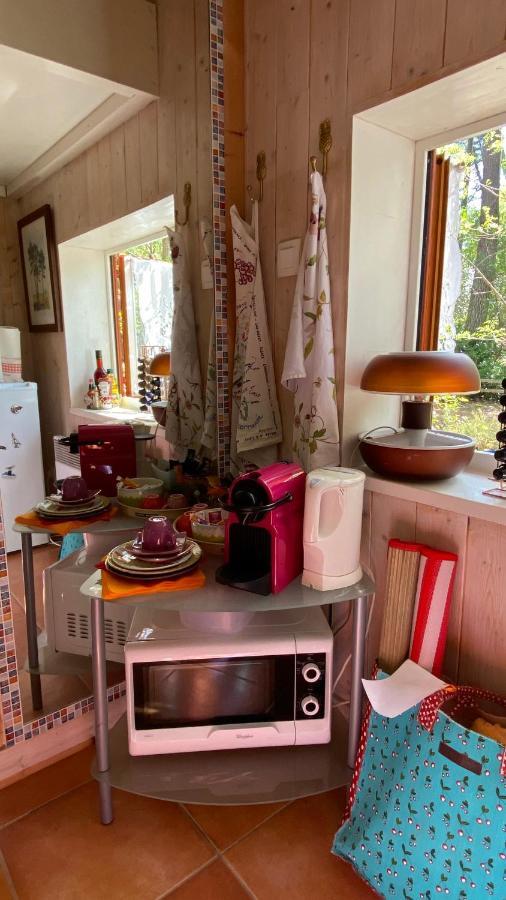 Le Petit Poulailler Au Beau Milieu Des Pins Villa Lacanau Esterno foto