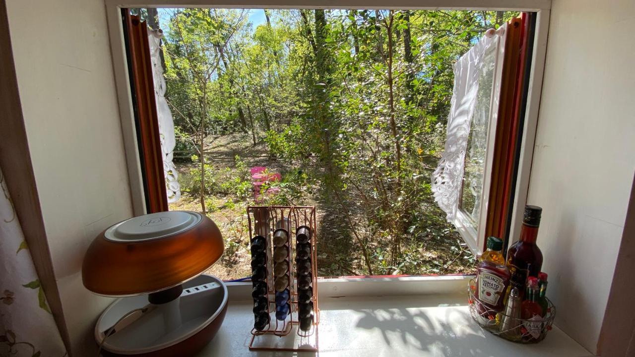 Le Petit Poulailler Au Beau Milieu Des Pins Villa Lacanau Esterno foto