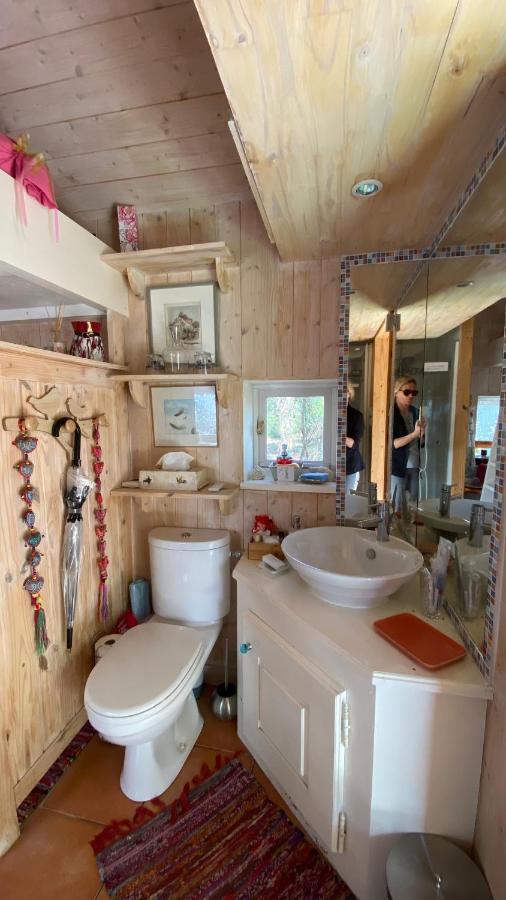 Le Petit Poulailler Au Beau Milieu Des Pins Villa Lacanau Esterno foto