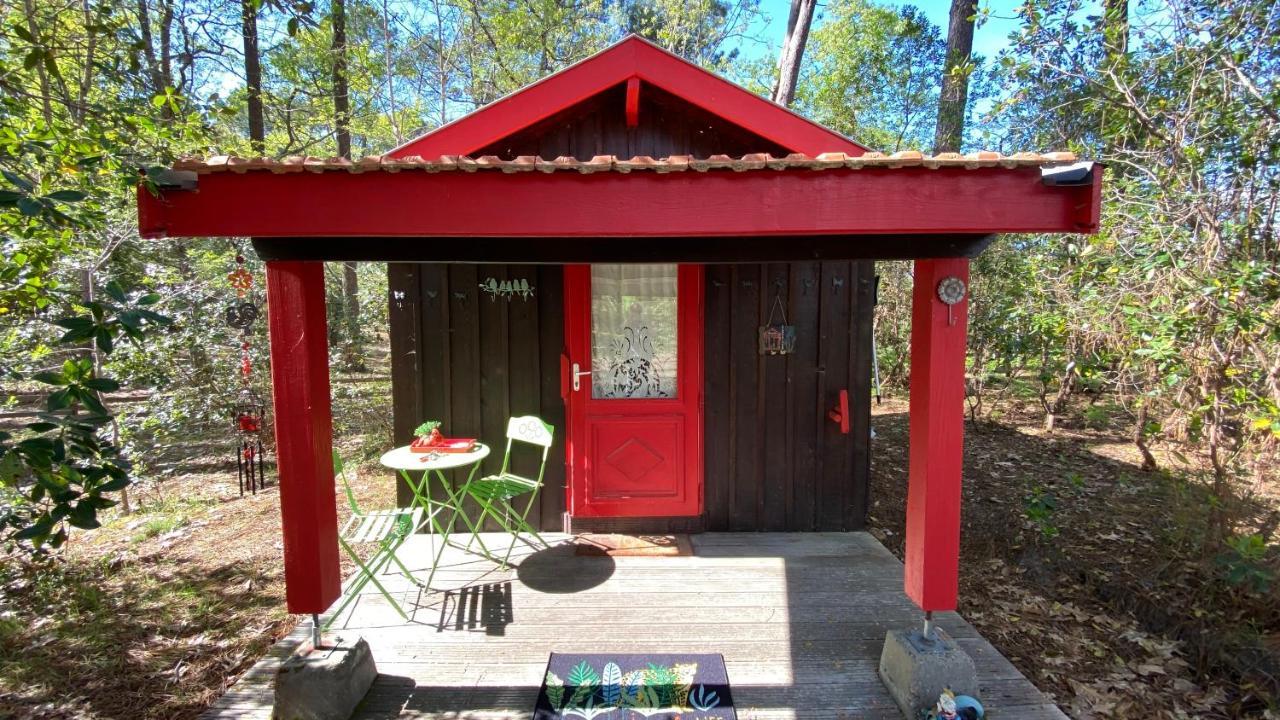 Le Petit Poulailler Au Beau Milieu Des Pins Villa Lacanau Esterno foto