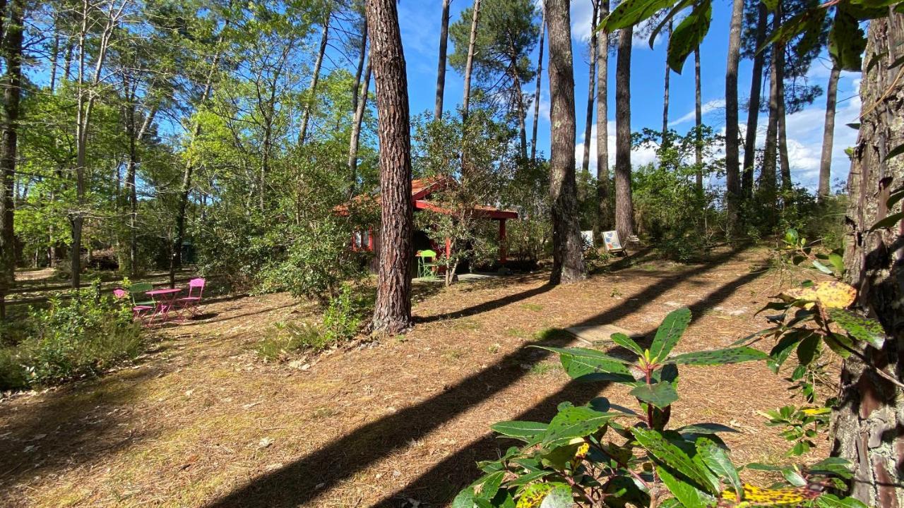 Le Petit Poulailler Au Beau Milieu Des Pins Villa Lacanau Esterno foto