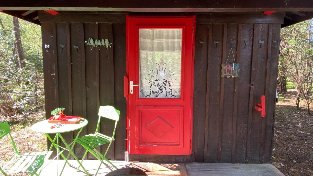 Le Petit Poulailler Au Beau Milieu Des Pins Villa Lacanau Esterno foto