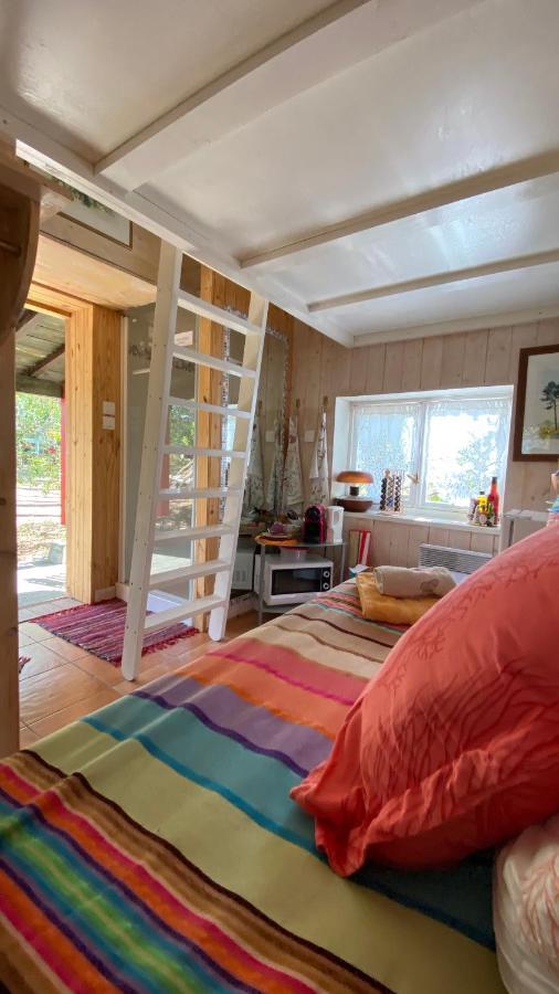 Le Petit Poulailler Au Beau Milieu Des Pins Villa Lacanau Esterno foto